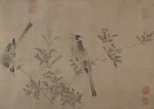 Chinese Bulbuls on Flowering Cherry-Apple. Creator: Unknown