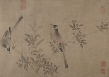 Chinese Bulbuls on Flowering Cherry-Apple. Creator: Unknown