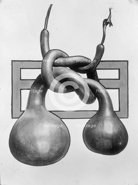 Chinese Gourds, 1913. Creator: Harris & Ewing.