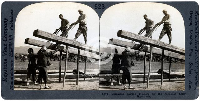 Chinese men sawing timber for the Japanese army, Manchuria, Russo-Japanese war, 1904-1905.Artist: Keystone