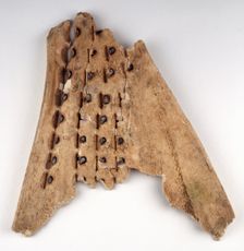Chinese oracle bone, 16th-10th century BC. Creator: Unknown