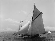 Chispa, 1892 June 14. Creator: John S Johnston