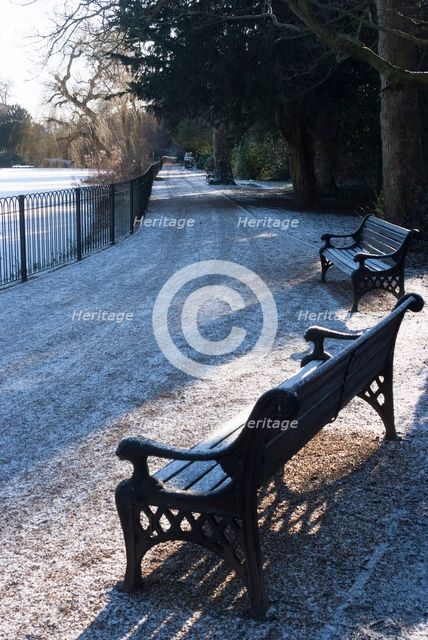 Chiswick Gdns & Park, London, England, UK, 1/2/10. Creator: Ethel Davies.