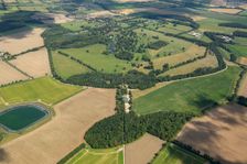 Chippenham Hall landscape park, Cambridgeshire, 2023. Creator: Damian Grady