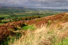 Chipping Vale from Longridge Fell, Lancashire. Creator: Peter Thompson