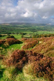 Chipping Vale from Longridge Fell, Lancashire. Creator: Peter Thompson