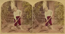 Chips of the Old Block., 1876. Creator: L. Melander & Bro