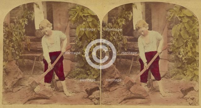 Chips of the Old Block., 1876. Creator: L. Melander & Bro.