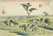 Chiryu: Early Summer Horse Market (Chiryu, shuka uma ichi), from the series "Fifty..., c. 1833/34. Creator: Ando Hiroshige