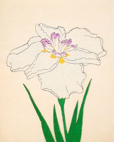 Cho-Hiyen, No. 91, 1890, (colour woodblock print)