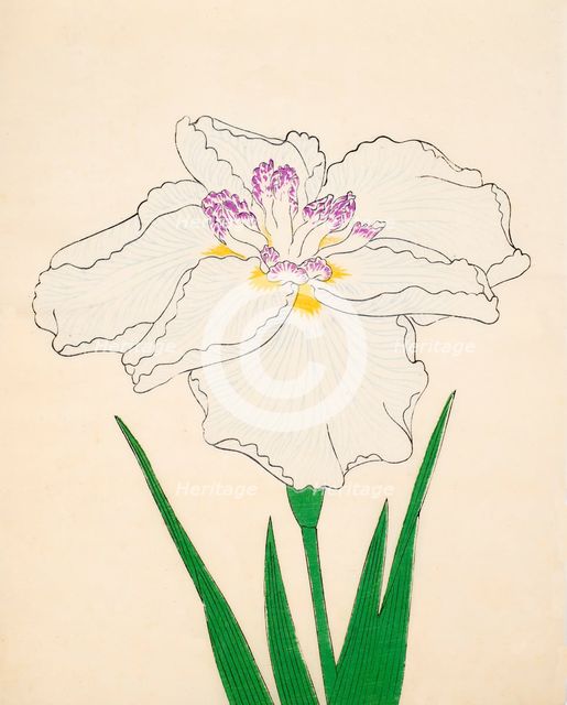 Cho-Hiyen, No. 91, 1890, (colour woodblock print)