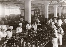 Chocolate Easter eggs, Rowntree factory, York, Yorkshire, 1930