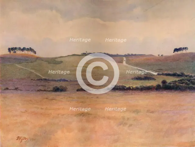 'Chobham Common', 1911, (1914). Artist: James S Ogilvy.