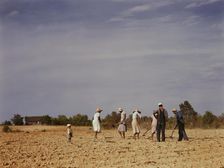 Chopping cotton on rented land near White Plains, Greene County, Ga., 1941. Creator: Jack Delano