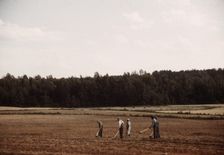 Chopping cotton, Greene County, Ga.?, ca. 1941. Creators: Marion Post Wolcott, Jack Delano