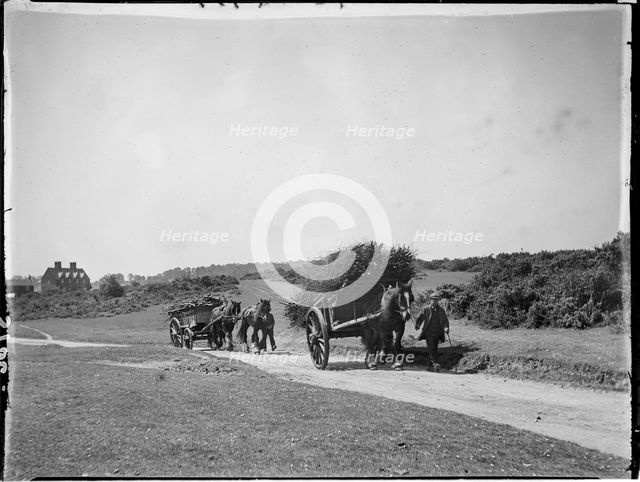 Chorleywood Common, Chorleywood, Three Rivers, Hertfordshire, 1915. Creator: Katherine Jean Macfee.