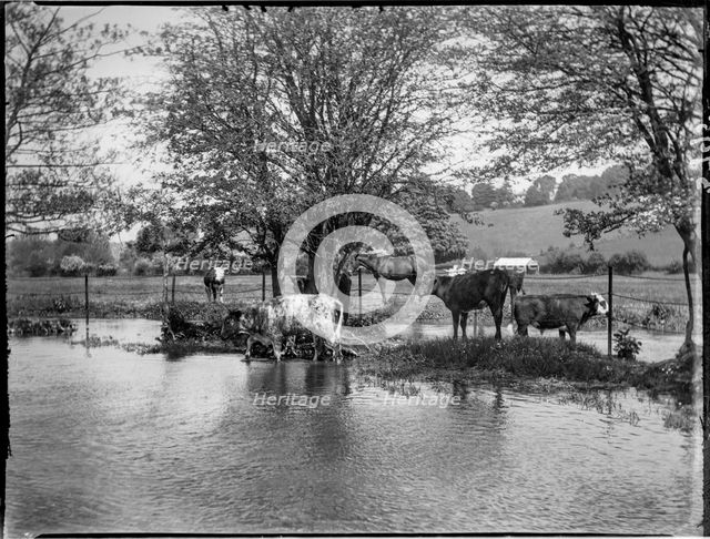 Chorleywood, Three Rivers, Hertfordshire, 1915. Creator: Katherine Jean Macfee.
