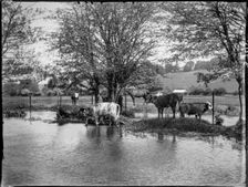 Chorleywood, Three Rivers, Hertfordshire, 1915. Creator: Katherine Jean Macfee