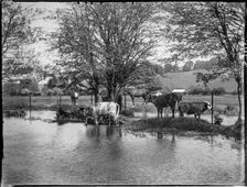Chorleywood, Three Rivers, Hertfordshire, 1915. Creator: Katherine Jean Macfee