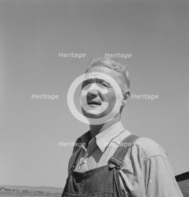 Chris Ament, German-Russian dry land wheat farmer, who..., south of Quincy, Washington, 1939. Creator: Dorothea Lange.