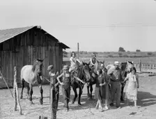 Chris Adolf, his team, and...children on their new farm, Washington, Yakima Valley, 1939. Creator: Dorothea Lange