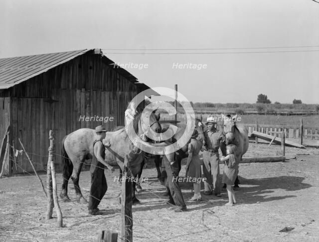 Chris Adolf, his team, and six of his children on their new farm, Washington, Yakima Valley, 1939. Creator: Dorothea Lange.