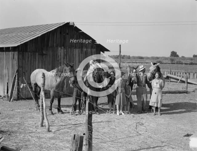 Chris Adolf, his team, and six of his..., near Wapato, Yakima Valley, Washington, 1939. Creator: Dorothea Lange.