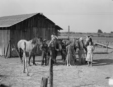Chris Adolf, his team, and six of his..., near Wapato, Yakima Valley, Washington, 1939. Creator: Dorothea Lange