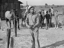 Chris Adolf, his teams, and...children, on their new farm, Washington, Yakima Valley, 1939. Creator: Dorothea Lange