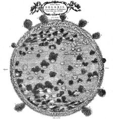 Christopher Scheiner's illustration of his idea of the surface of the sun, 1635