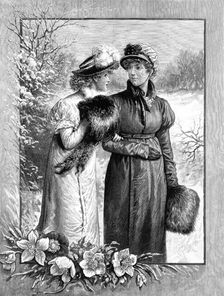 Christmas Roses, drawn by A. Johnson, 1883. Creator: Unknown