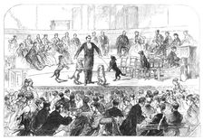 Christmas Soiree at the Hanover-Square Rooms, of the Association in aid of the Deaf and Dumb, 1869. Creator: Unknown