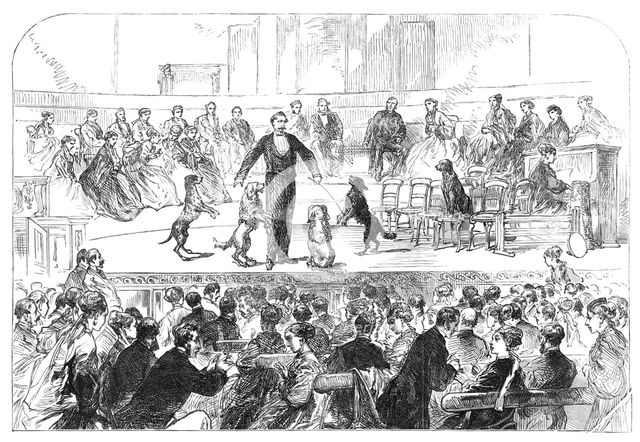 Christmas Soiree at the Hanover-Square Rooms, of the Association in aid of the Deaf and Dumb, 1869. Creator: Unknown.