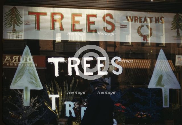 Christmas trees and wreaths in store window display, between 1941 and 1942. Creator: Unknown.