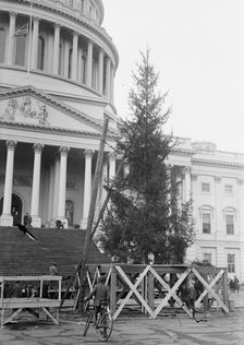 Christmas Trees - Christmas Tree At Capitol, 1913. Creator: Harris & Ewing