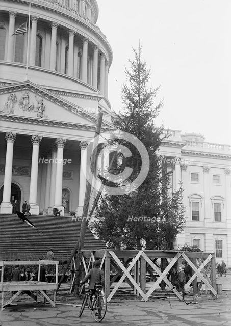 Christmas Trees - Christmas Tree At Capitol, 1913. Creator: Harris & Ewing.