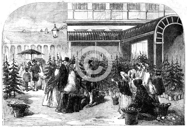 Christmas Trees in Covent Garden Market, 1854. Creator: Edmund Evans.