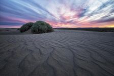 Christmas Valley. Creator: Joshua Johnston