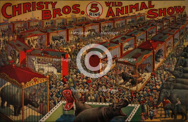 Christy Bros. 5 ring wild animal show circus poster, c1919 - 1930. Creator: Riverside Print Co.