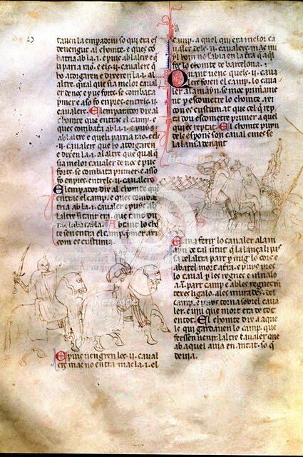 Chronic or Llibre del Rey en Pere e dels seus antecessors passats …' (Book of the king Peter and …