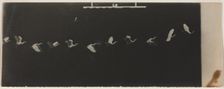 Chronophotograph of a Flying Heron. Creator: Étienne-Jules Marey (French, 1830-1904)