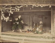 Chrysanthemum Images, 1875-1897. Creator: Unknown