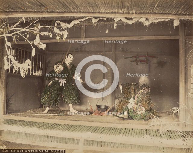 Chrysanthemum Images, 1875-1897. Creator: Unknown.