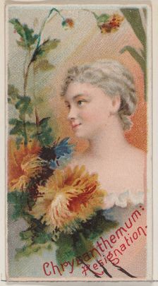 Chrysanthemum: Resignation, from the series Floral Beauties and Language of Flowers (N75) ..., 1892. Creator: Donaldson Brothers