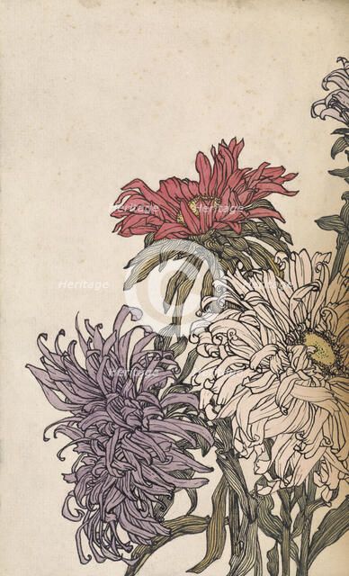Chrysanthemums, 1887-1924. Creator: Julie de Graag.