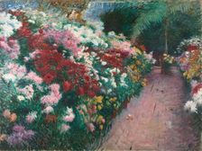 Chrysanthemums, 1888