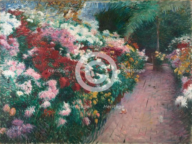 Chrysanthemums, 1888.