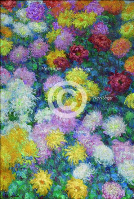 Chrysanthemums, 1897.