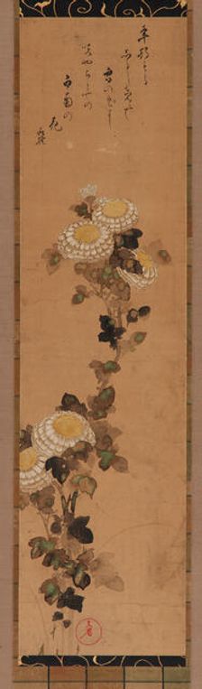 Chrysanthemums, 18th-19th century. Creator: Ogata Kenzan