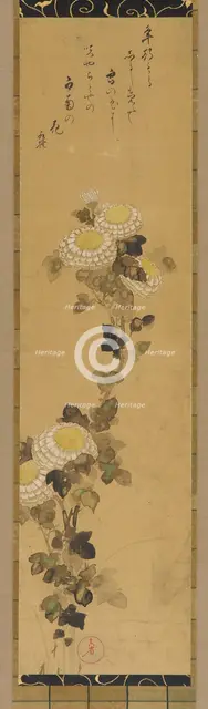 Chrysanthemums, 18th-19th century. Creator: Ogata Kenzan.